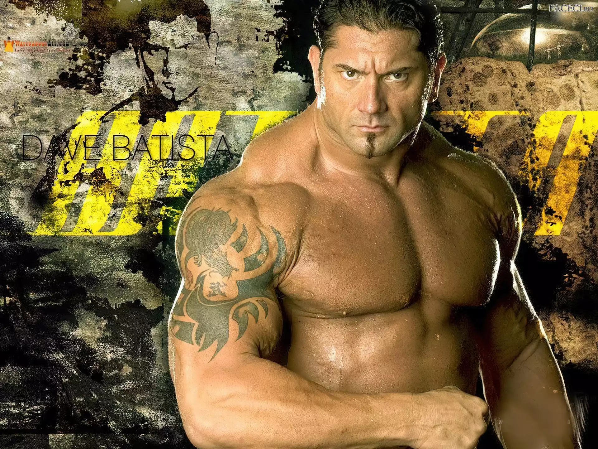 Wrestler, Wrestling, Batista, Dave Bautista, WWE, Aktor